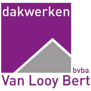 bert van looy dakwerken